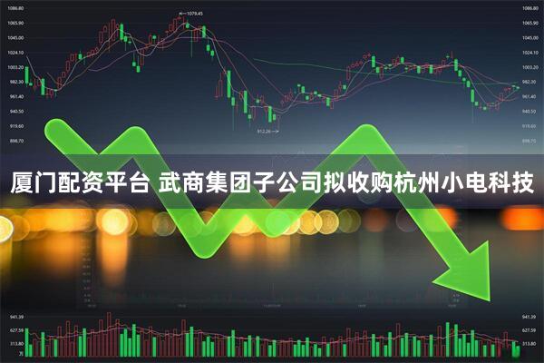 厦门配资平台 武商集团子公司拟收购杭州小电科技