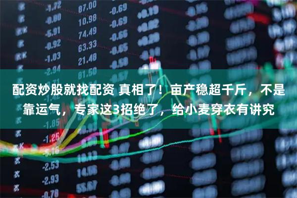 配资炒股就找配资 真相了！亩产稳超千斤，不是靠运气，专家这3招绝了，给小麦穿衣有讲究