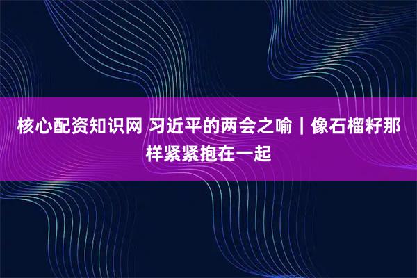 核心配资知识网 习近平的两会之喻｜像石榴籽那样紧紧抱在一起